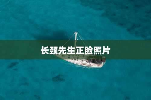 长颈先生正脸照片