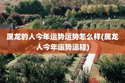 属龙的人今年运势运势怎么样(属龙人今年运势运程)