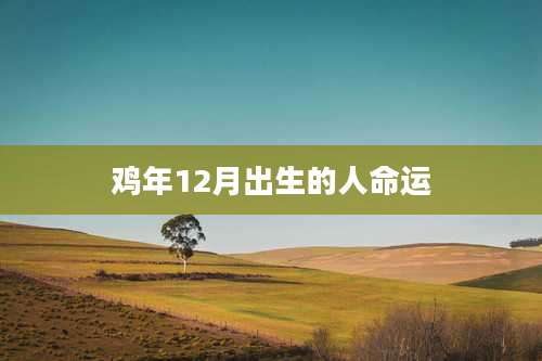 鸡年12月出生的人命运