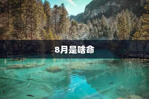 8月是啥命
