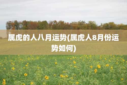 属虎的人八月运势(属虎人8月份运势如何)