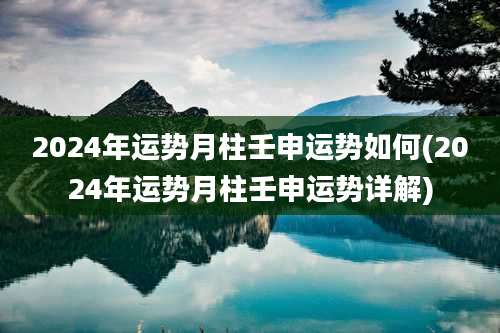 2024年运势月柱壬申运势如何(2024年运势月柱壬申运势详解)