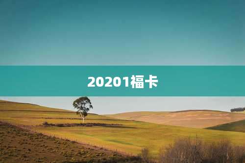 20201福卡