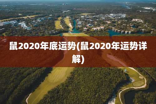 鼠2020年底运势(鼠2020年运势详解)