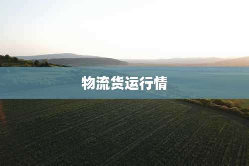 物流货运行情