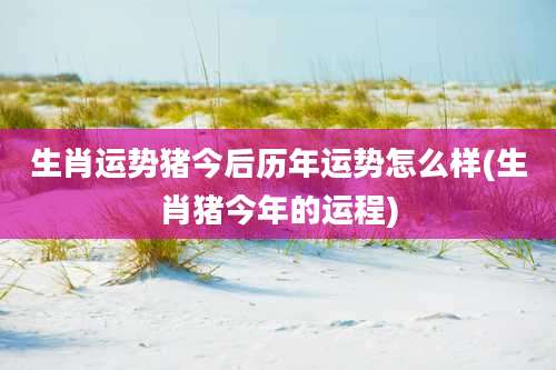 生肖运势猪今后历年运势怎么样(生肖猪今年的运程)