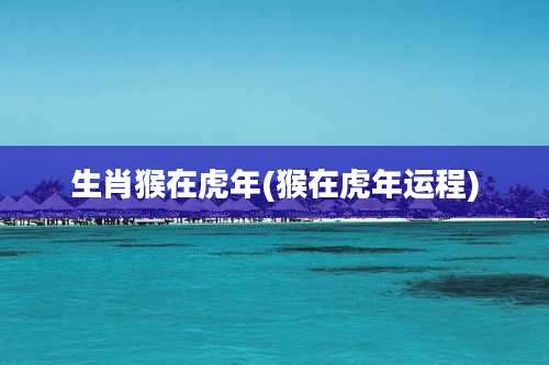 生肖猴在虎年(猴在虎年运程)