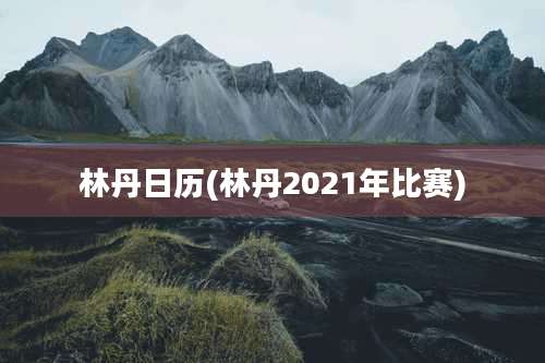 林丹日历(林丹2021年比赛)