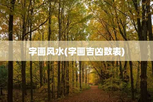 字画风水(字画吉凶数表)