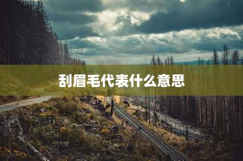 刮眉毛代表什么意思