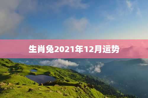 生肖兔2021年12月运势
