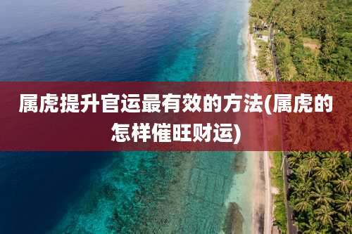 属虎提升官运最有效的方法(属虎的怎样催旺财运)