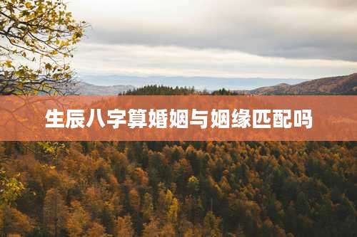 生辰八字算婚姻与姻缘匹配吗