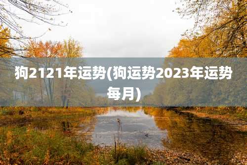 狗2121年运势(狗运势2023年运势每月)