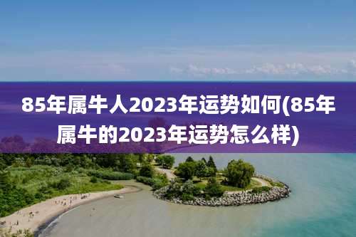 85年属牛人2023年运势如何(85年属牛的2023年运势怎么样)