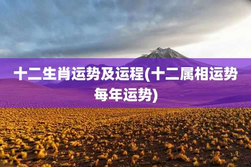 十二生肖运势及运程(十二属相运势每年运势)