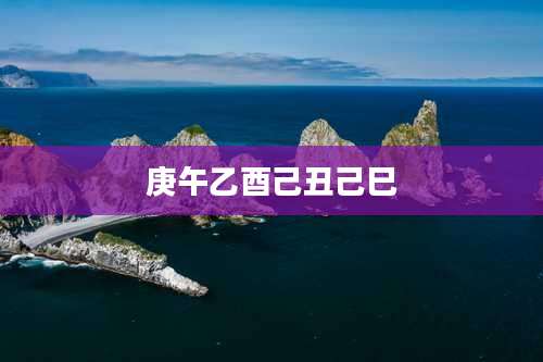 庚午乙酉己丑己巳