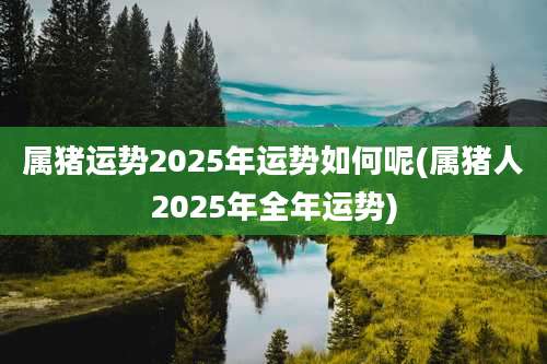 属猪运势2025年运势如何呢(属猪人2025年全年运势)