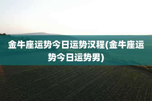 金牛座运势今日运势汉程(金牛座运势今日运势男)