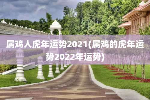 属鸡人虎年运势2021(属鸡的虎年运势2022年运势)