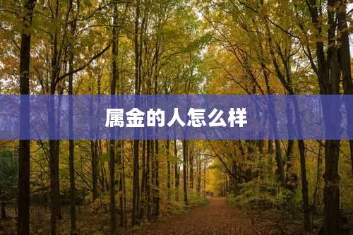 属金的人怎么样