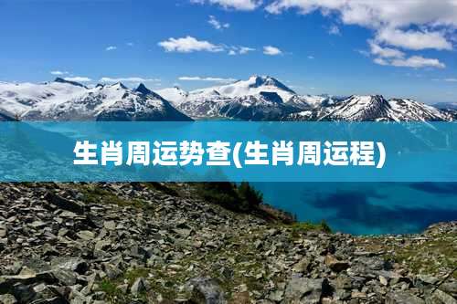 生肖周运势查(生肖周运程)