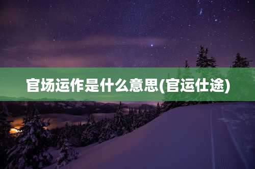 官场运作是什么意思(官运仕途)