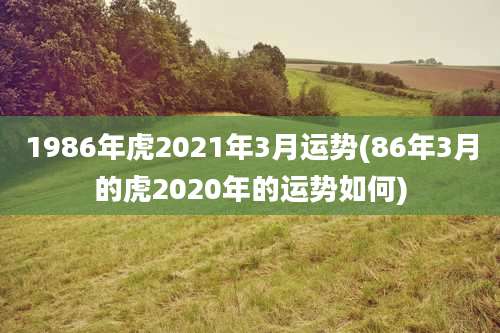 1986年虎2021年3月运势(86年3月的虎2020年的运势如何)