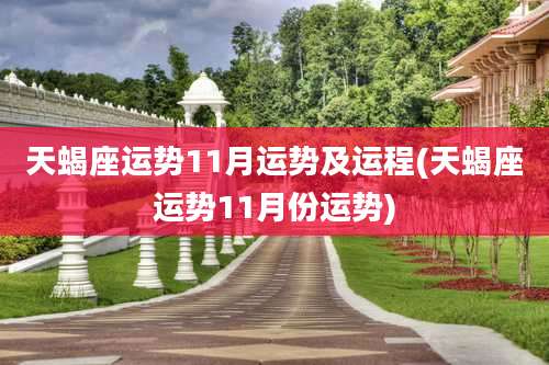 天蝎座运势11月运势及运程(天蝎座运势11月份运势)