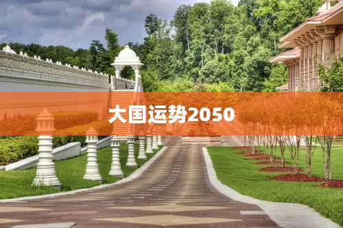 大国运势2050