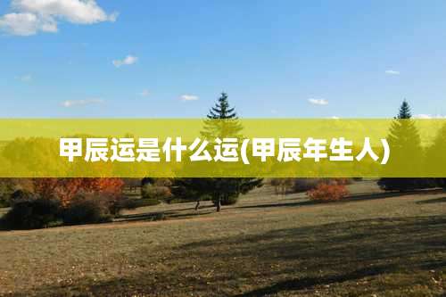 甲辰运是什么运(甲辰年生人)