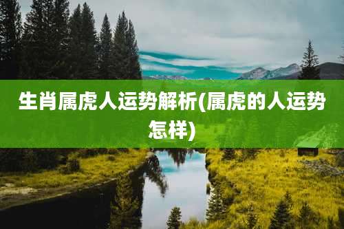 生肖属虎人运势解析(属虎的人运势怎样)