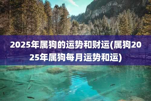 2025年属狗的运势和财运(属狗2025年属狗每月运势和运)