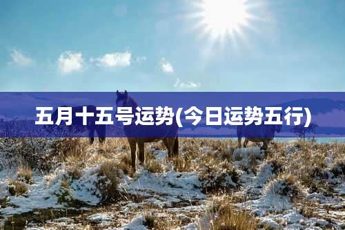 五月十五号运势(今日运势五行)