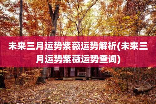 未来三月运势紫薇运势解析(未来三月运势紫薇运势查询)