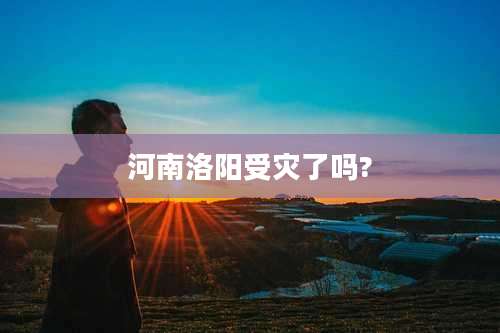 河南洛阳受灾了吗?