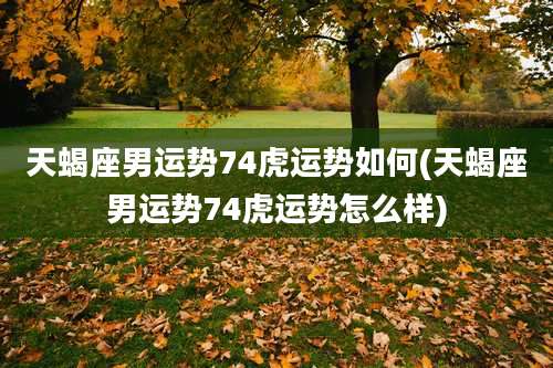天蝎座男运势74虎运势如何(天蝎座男运势74虎运势怎么样)
