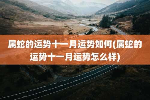 属蛇的运势十一月运势如何(属蛇的运势十一月运势怎么样)