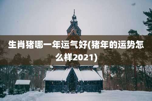 生肖猪哪一年运气好(猪年的运势怎么样2021)