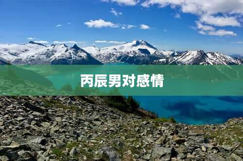 丙辰男对感情