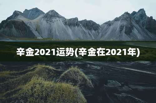 辛金2021运势(辛金在2021年)