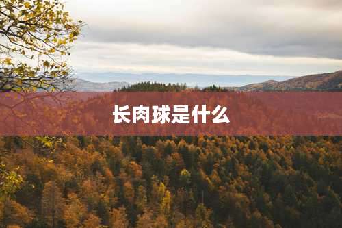 长肉球是什么