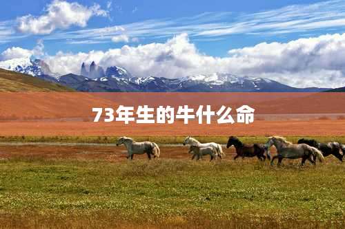 73年生的牛什么命