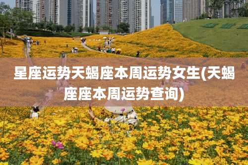 星座运势天蝎座本周运势女生(天蝎座座本周运势查询)