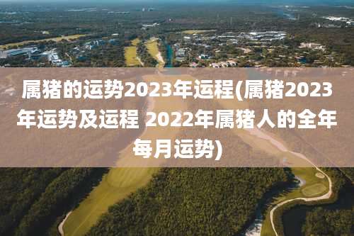 属猪的运势2023年运程(属猪2023年运势及运程 2022年属猪人的全年每月运势)