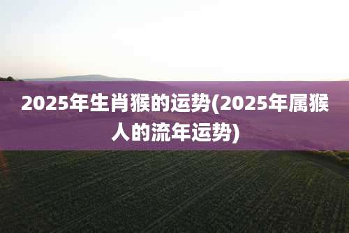 2025年生肖猴的运势(2025年属猴人的流年运势)