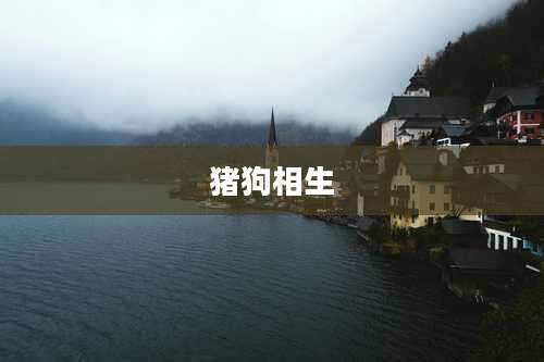 猪狗相生