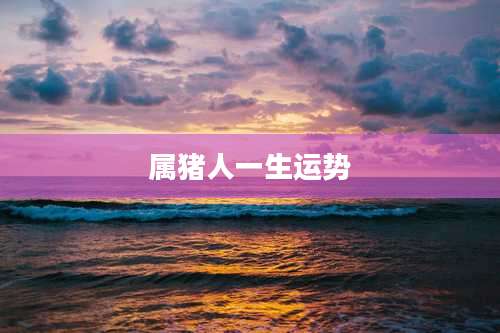 属猪人一生运势