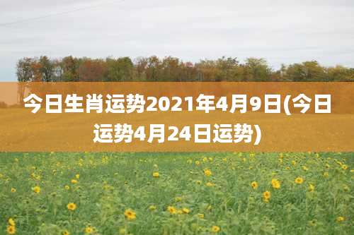 今日生肖运势2021年4月9日(今日运势4月24日运势)