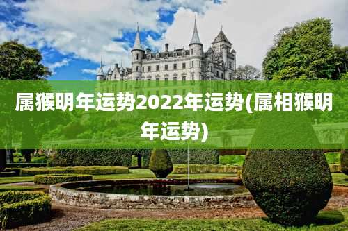 属猴明年运势2022年运势(属相猴明年运势)
